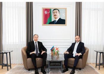 Nazir Vilayət Eyvazov Gürcüstanın daxili işlər naziri ilə görüşüb -Fotolar