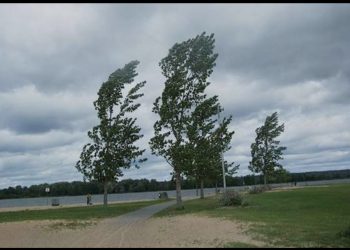 Ölkədə küləklə bağlı əhaliyə müraciət olundu