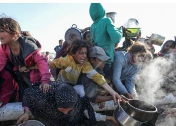 Qəzza hökuməti: Aclıqdan ölən fələstinlilər İsrail snayperlərinin hədəfindədir