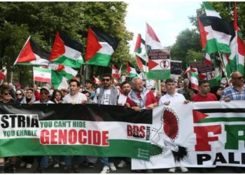 Avstriyada Fələstinə dəstək nümayişi -Foto