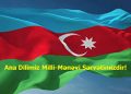 Dövlət dilimiz TƏHLÜKƏDƏ: Lövhələrdə və vitrinlərdə Azərbaycan dili haradadır?
