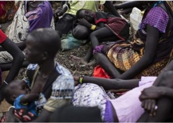 Nigeriyada 161 milyon insan qida çatışmazlığı ilə üzləşib