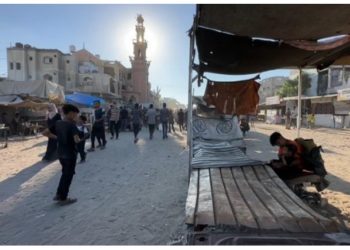 Qəzzada boş bazar köşklərində yemək axtaran fələstinlilər dünyaya şikayət edirlər