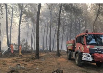 Antalyada meşə yanğını: Havadan və qurudan müdaxilə
