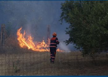 İtaliyanın Siciliya bölgəsində baş verən meşə yanğınlarının söndürülməsi üçün işlər davam edir.