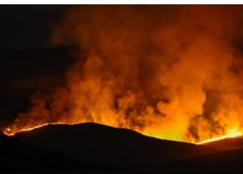 ABŞ-ın Kaliforniya ştatında baş verən meşə yanğınında 12 min hektardan çox ərazi yanıb