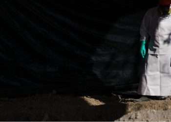 Meksikanın Quanaxuato əyalətində 32 nəfərin cəsədi tapılıb