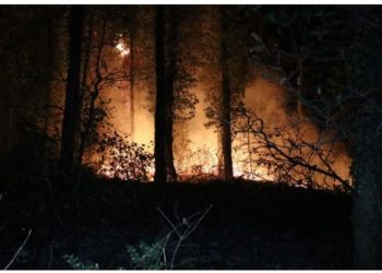 Fransada meşə yanğınında Parisdən daha böyük ərazi məhv olub