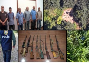 Balakəndə dağda narkotik becərən silahlı dəstə aşkar olunaraq həbs edilib