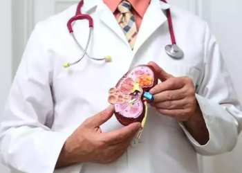 Tibb tarixində bir ilk: Böyrəkləri xilas edəcək MikroRNA tapıldı