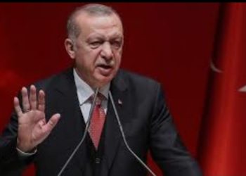 Ərdoğan NATO sammitində Rusiya-Ukrayna dialoqun bərpasına çağıracaq