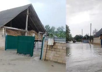 Güclü sel suları Balakəndə fəsadlar törətdi, həyətləri su basdı