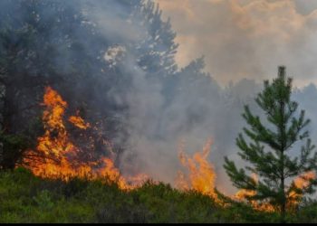 İspaniyada başlayan meşə yanğıninda 12 ölub