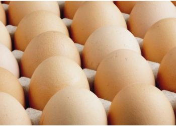 ABŞ-da salmonella şübhəsi ilə milyonlarla yumurta geri qaytarilib