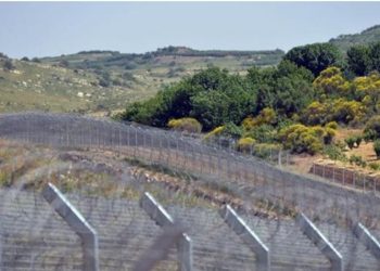 Şeybani: İsrailin Suriya ərazisini pozması bölgə üçün təhlükə yaradır