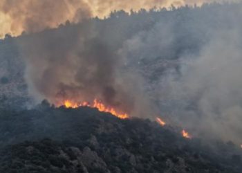 Kaşda meşə yanğını ilə mübarizə ikinci gün də davam edir
