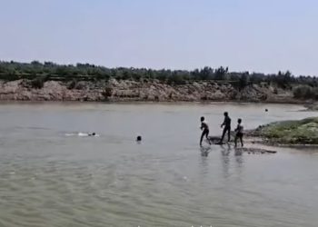 İmişlidə batmaqda olan gənc  xilas edildi – Video