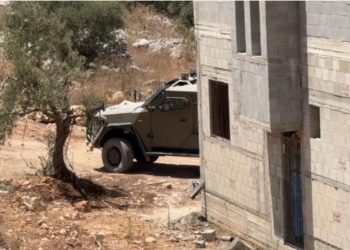 İordan çayının qərb sahilində hərbi forma geyinən bir israillinin fələstinliləri döydüyü məlum olub