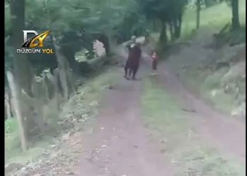Astarada Qayınata gəlinini uşaqların gözü önündə döydü