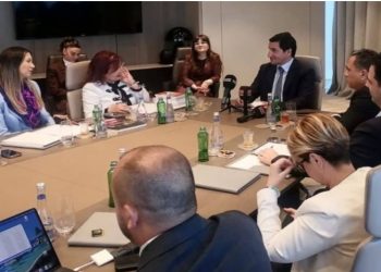Hikmət Hacıyev TADİV nümayəndə heyətini ilə görüşüb-Foto