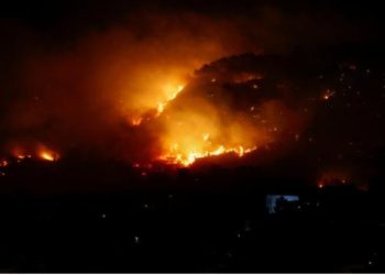 WWF: İtaliyada bu yay meşə yanğınlarında 70 min hektar ərazi məhv olub