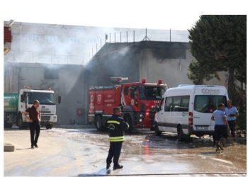 Türkiyədə fabrik yanğını: Göy qaraldı
