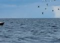 Gəminin Atlantik okeanında 26 gün sürüklənməsi nəticəsində 80-dən çox insan həlak olub