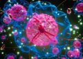 Rusiyada laboratoriya işçisinin şübhəli ölümü epidemiya ilə bağlı narahatlıqları artırır